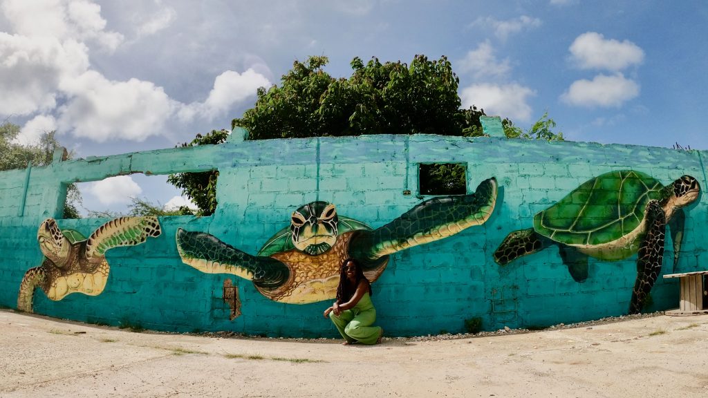 San Nicolas Murals 7 Sea Turtles 1 scaled
