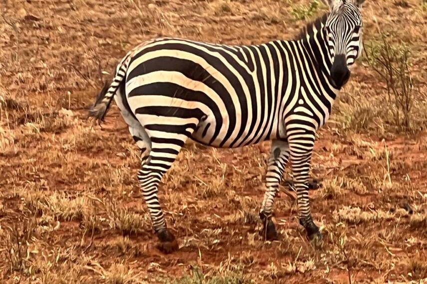 0E6AFAB1-8155-44BF-A57B-AC15DB751EA7